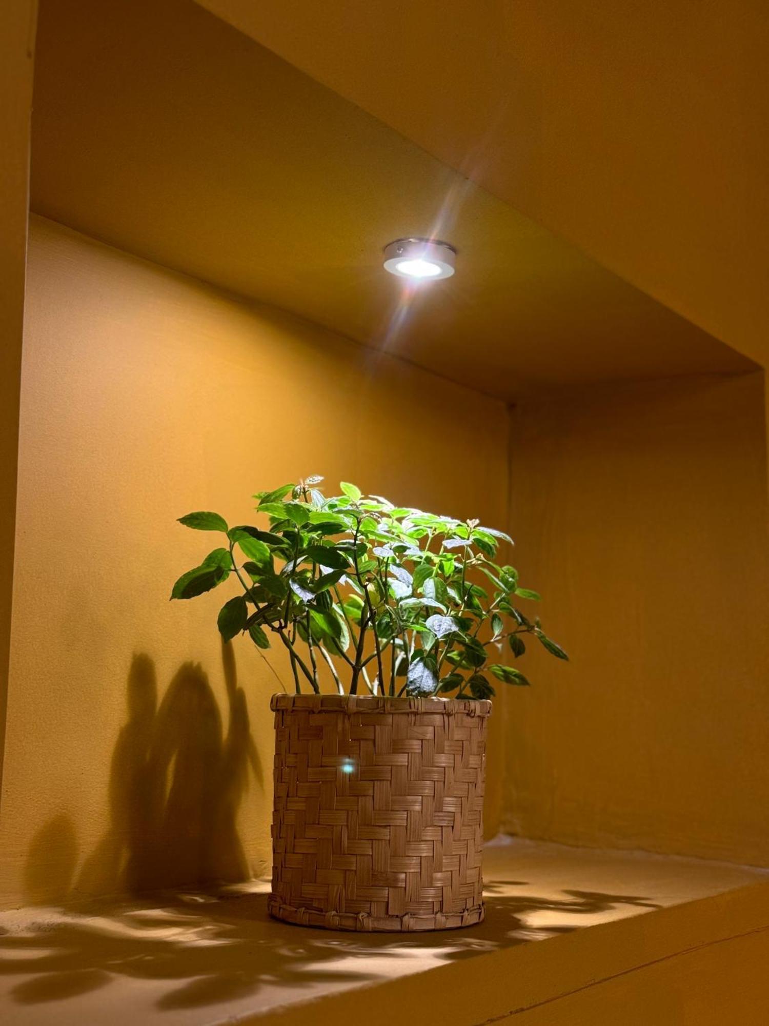 The Melo Pomelo Courtyard. Apartment Kathmandu Luaran gambar